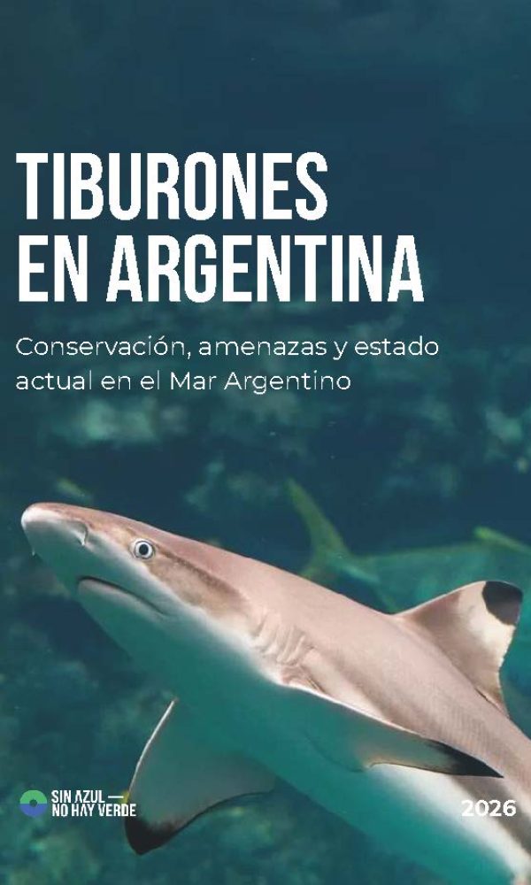 Información Tiburones_Página_01