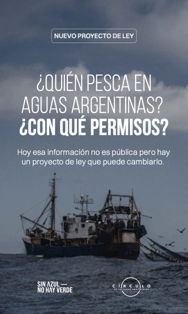 Nuevo Proyecto de Ley